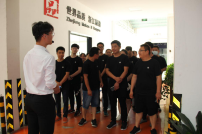 Top 10 Integrated Stove Brands: Blue Torch Star's New Dealer Training Session Successfully Concludes in June!